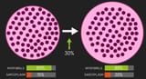 sarcoplasmic-hypertrophy