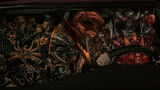 Chaos