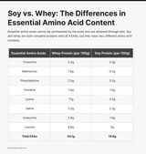 protein
