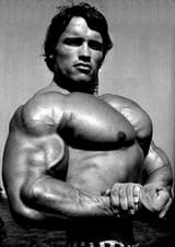 arnoldchest