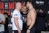 emelianenko vs mitrione