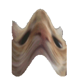 1670561390829370