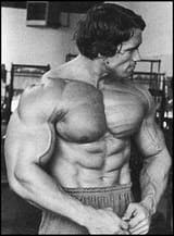 arnold swa