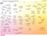 fish_mercury_omega3