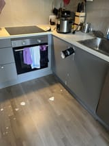 IMG 0971