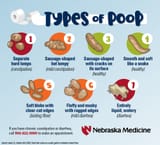 poop-infographic-blog