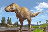 2000x1333_T_rex