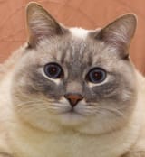 1528572091895
