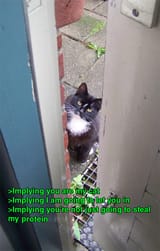1332199673519