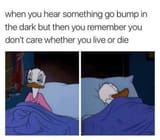 donald ducko