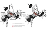 Barbell-Bench-Press-resized