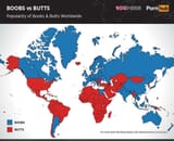 boobs vs butts