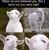 smug