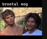 mog