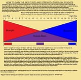 size-strength rep ranges