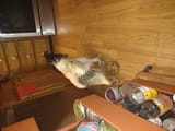 IMG_20220708_203010373