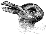 duck-rabbit