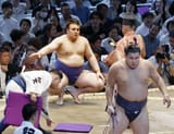 Aonishiki2