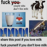 m9vystrp0lh51