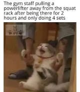 1731190381903405