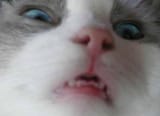 1734124029794187