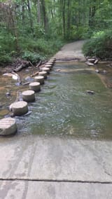 Path