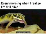 1742744352952314