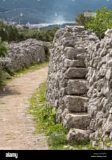 old-road-olive-grove-and-stone-walls-near-the-city-of-cres-croatia-RFJFTH