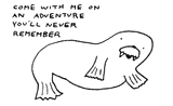 ambien walrus