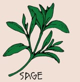sage