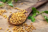 1800x1200_fenugreek_seeds__2_other