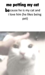 me-petting-my-swag-v0-wkmf5fn1rfne1