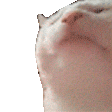 1701833160019633