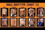 male body type chart