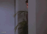 architect_peek