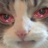 1601023223816