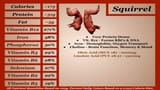 SquirrelMacros