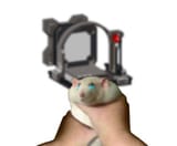 1615605819908