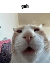 guh