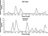 growth hormone