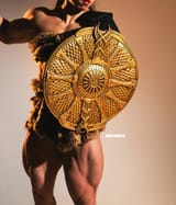 jiajia&#039;s golden shield