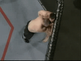 dynamite fists