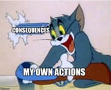 315qmr