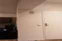 Towel Strict Curl 40 Kg X 5 - Markgripstrength1995 (1080P, H264, Youtube)_thumb.jpg