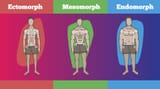 mesochads
