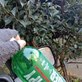 IMG_20250722_161954