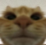1627380150496