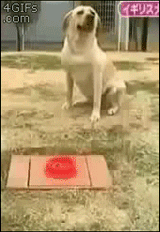 619