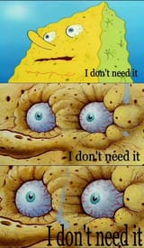 i-dont-need-it-v0-xwr0xv15ymid1