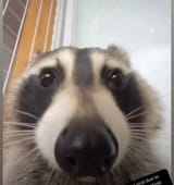 1702157697064774